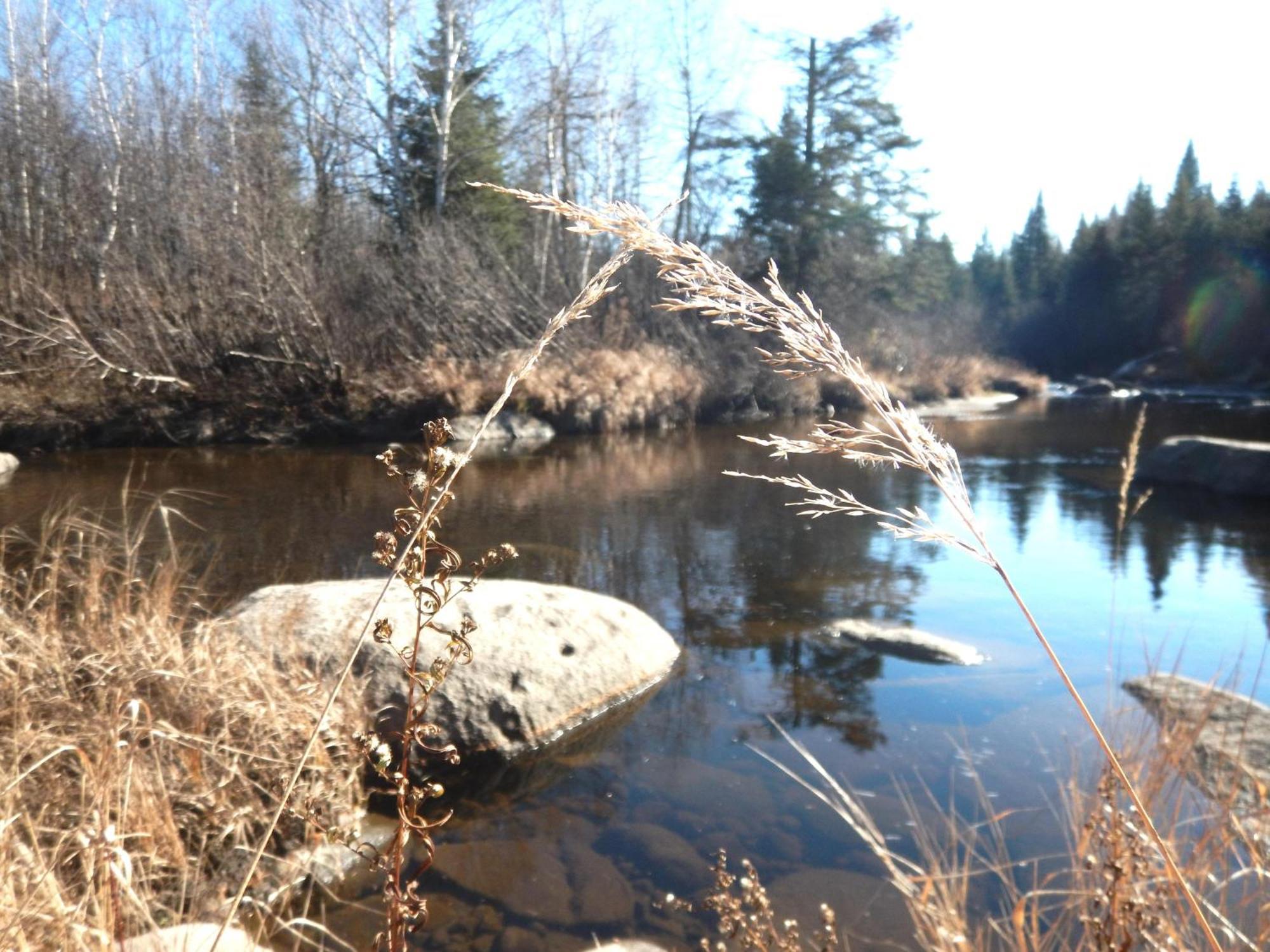 Willa Aux Tipis De La Riviere Sauvage Saint Romain Zewnętrze zdjęcie