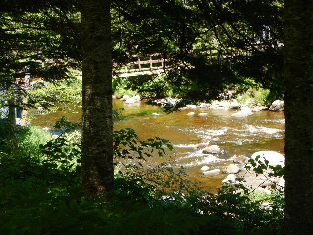 Willa Aux Tipis De La Riviere Sauvage Saint Romain Pokój zdjęcie