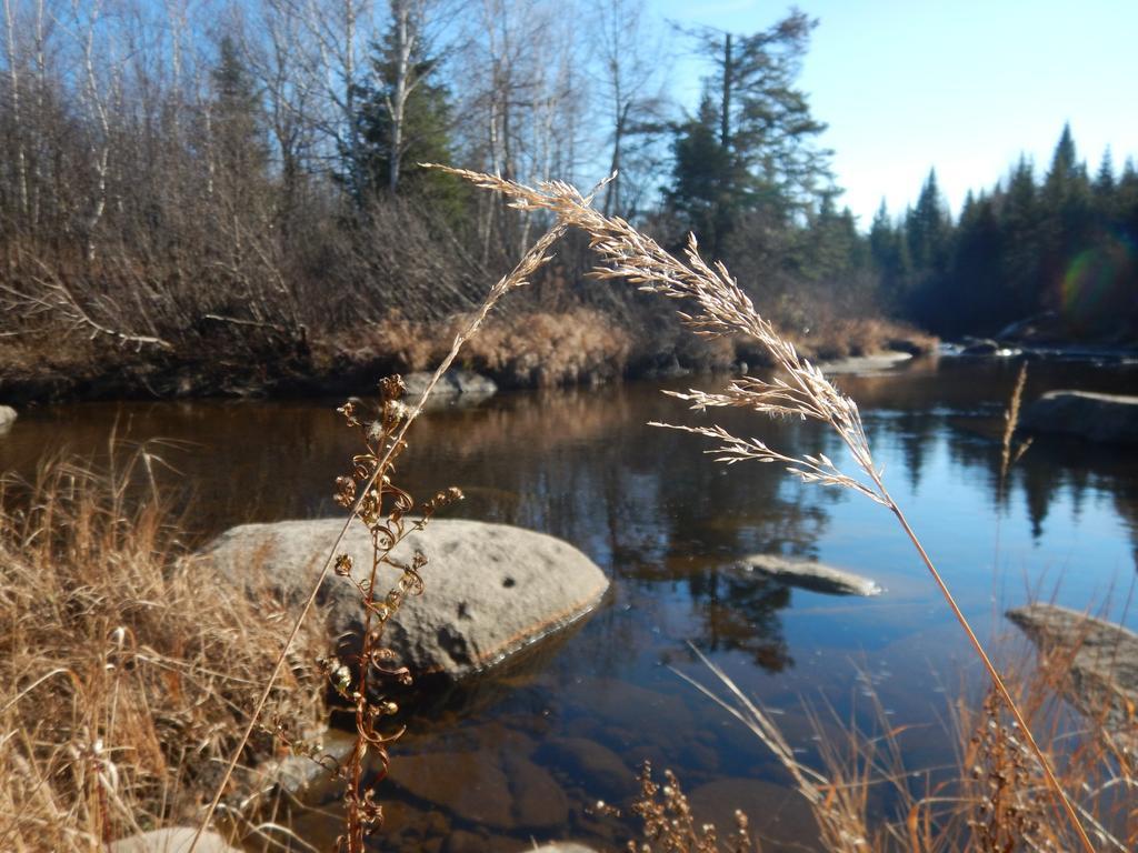 Willa Aux Tipis De La Riviere Sauvage Saint Romain Zewnętrze zdjęcie